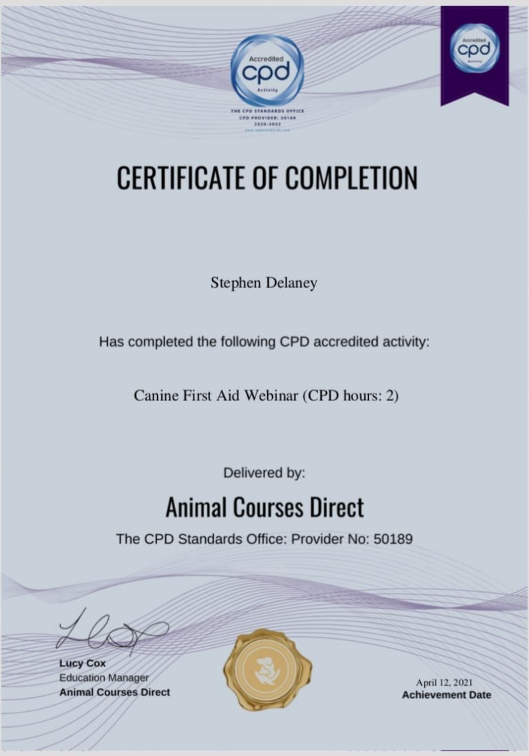 Canine First Aid certificate